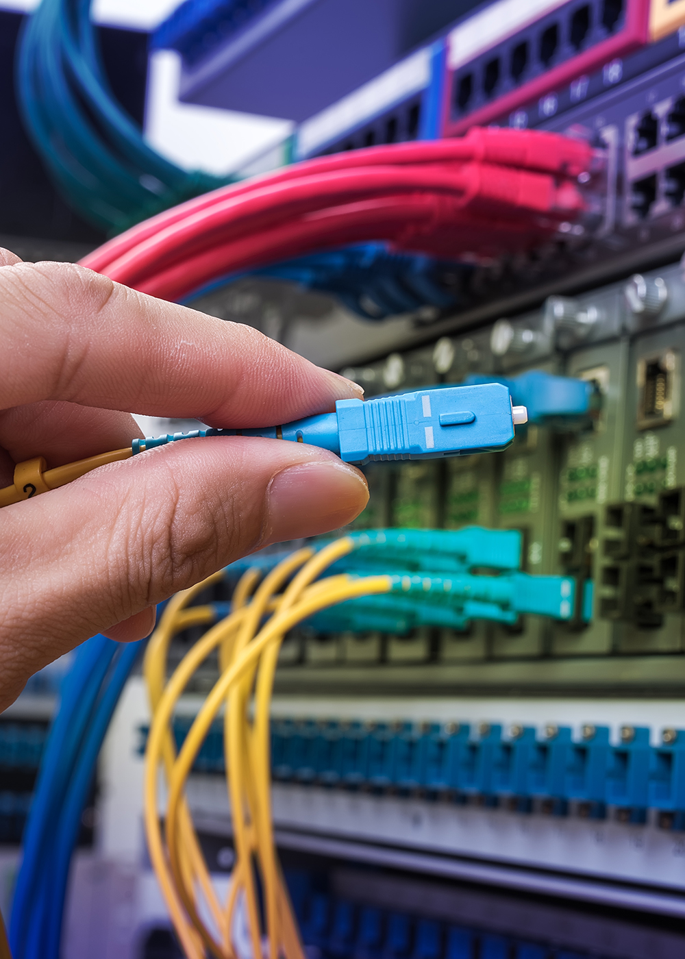 Categoria Conectividade 